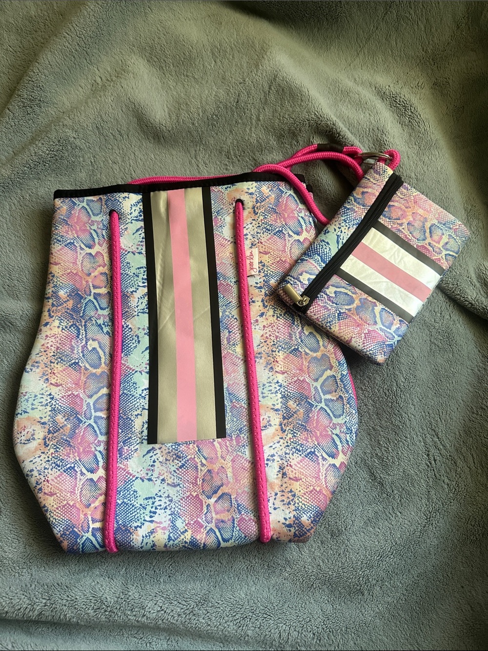 Pink Multi-Stripe Snake-Print Tote with Matching Wristlet